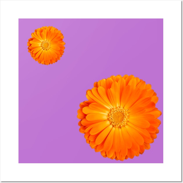 Orange Flower on funky purple background Wall Art by sarahlroozendaal